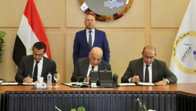 273 ألف متر مربع في الدخيلة.. مشروع جديد لتعزيز تجارة الترانزيت في مصر