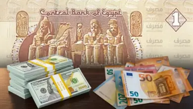 الدولار واليورو والريال السعودي يقفزون أمام الجنيه.. كم بلغت الزيادة منذ 20 أكتوبر؟