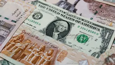 الدولار يقفز 1.87 جنيه في أسبوع بمصر.. ويقترب من 55.25 جنيه