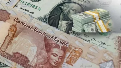 3.44 تريليون جنيه ودائع أجنبية.. البنوك المصرية تستقبل 437 مليارًا في 8 أشهر