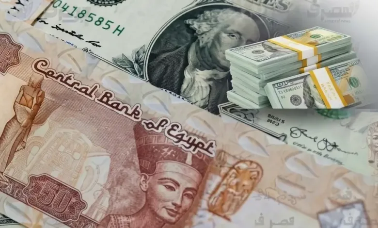 3.44 تريليون جنيه ودائع أجنبية.. البنوك المصرية تستقبل 437 مليارًا في 8 أشهر