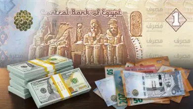 الدولار يقترب من 56.10 جنيه.. كم ربحت العملات أمام الجنيه خلال أسبوع؟