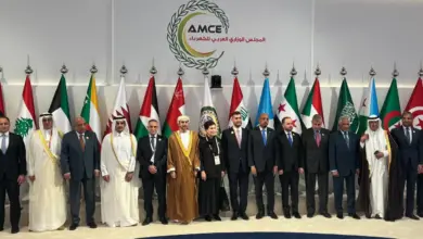 مصر والسعودية والأردن تتحرك نحو مشروع تجريبي لتبادل الكهرباء