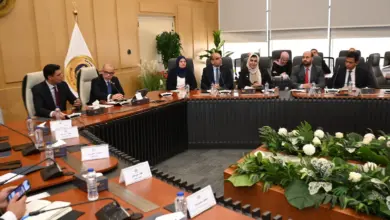 رخص جديدة لإنتاج البيليت.. تحرك حكومي لتقليص واردات الحديد وتعزيز الصناعة المحلية