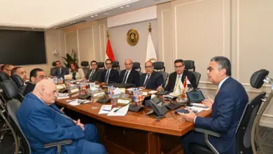 نائب محافظ البنك المركزي في اجتماع «السلع التموينية».. تحرك جديد لتأمين الاحتياطي الاستراتيجي