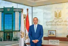 من مياه الدلتا إلى المائدة.. كيف يصنع الفلاح موسم الأرز خطوة بخطوة؟