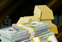 الدولار فوق 55 جنيهًا يدفع الذهب للصعود محليًا رغم خسائره العالمية