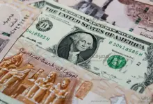 الدولار يقترب من 56 جنيهاً.. تخارج الأجانب وارتفاع الطلب على العملة يضغطان على الجنيه