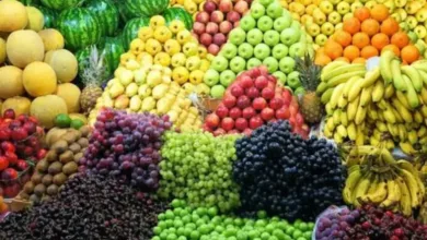 التضخم في مدن مصر يتراجع إلى 13.9% والخضراوات تقفز 15% في سبتمبر