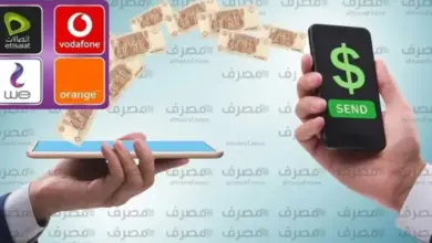 اعرف مصيرها.. غيّرت شركة المحمول بنفس الرقم؟.. ماذا يحدث لمحفظتك الإلكترونية؟