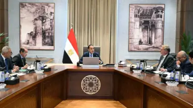 مدبولي يفتح 3 مسارات لتأمين الطاقة.. مخزون الوقود وسداد المستحقات وزيادة الإنتاج