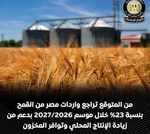 القمح يقود موجة زيادة الإنتاج في مصر.. USDA يتوقع تراجع الواردات إلى 12 مليون طن
